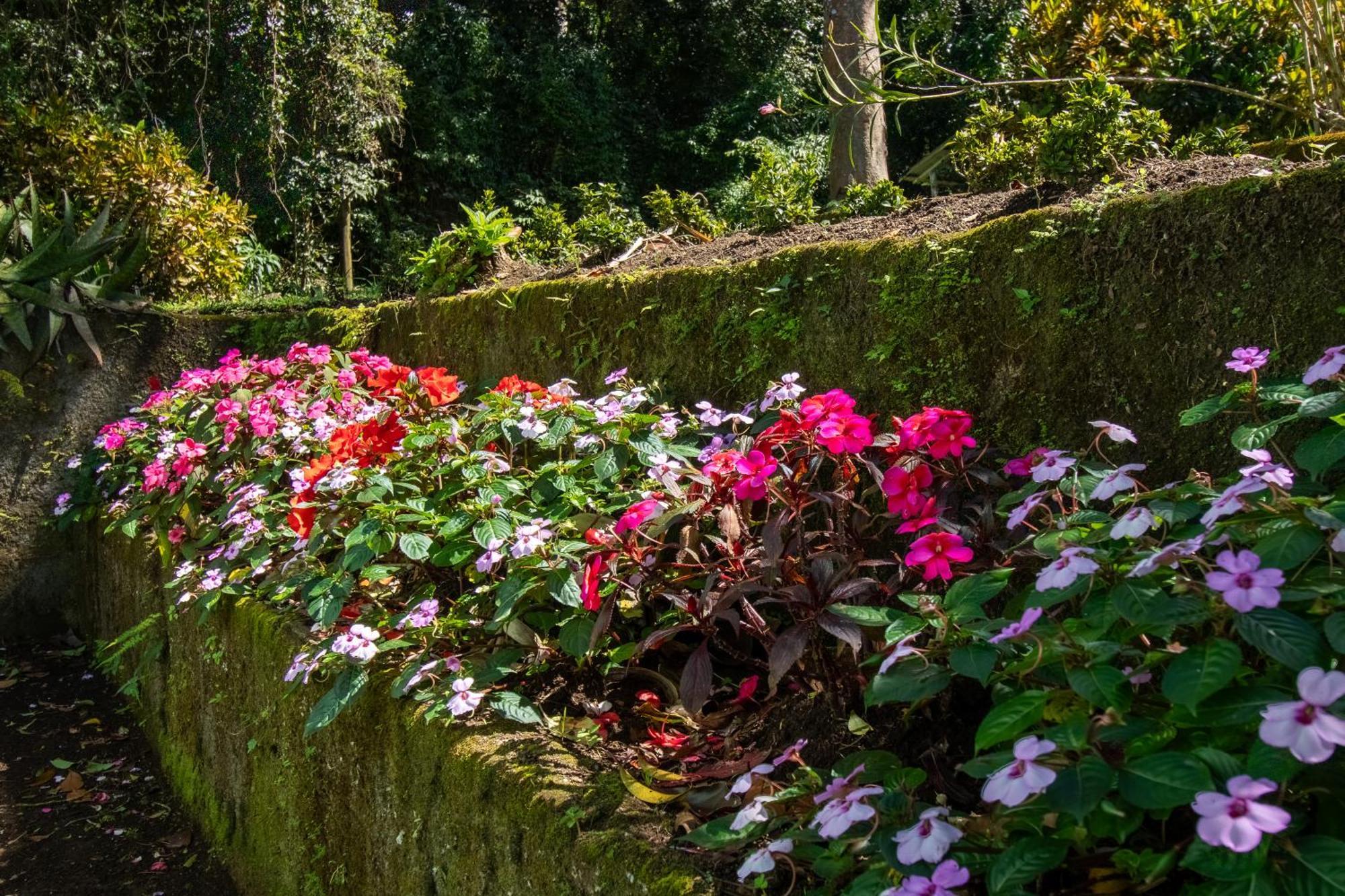 Mountain Wonders Monteverde
